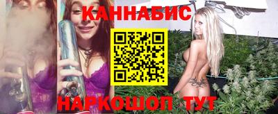крисы Будённовск