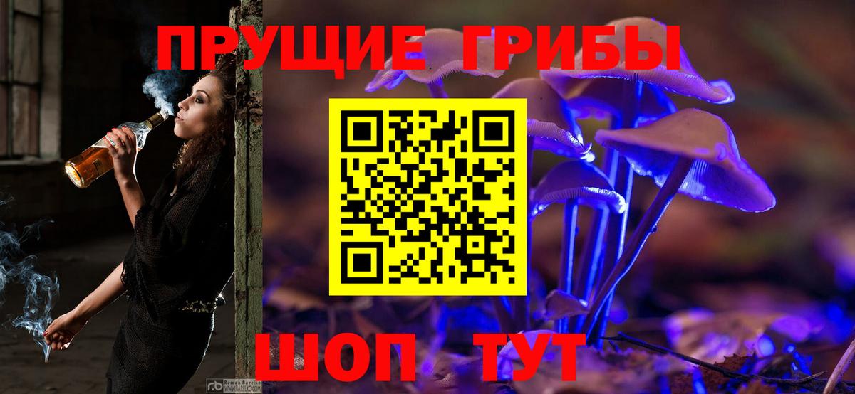 Псилоцибиновые грибы мицелий Старый Оскол