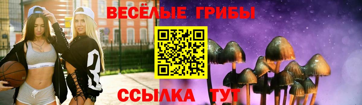 Старый Оскол  Псилоцибиновые грибы Magic Shrooms  Вход с VPN  Псилоцибиновые грибы Psilocybe 